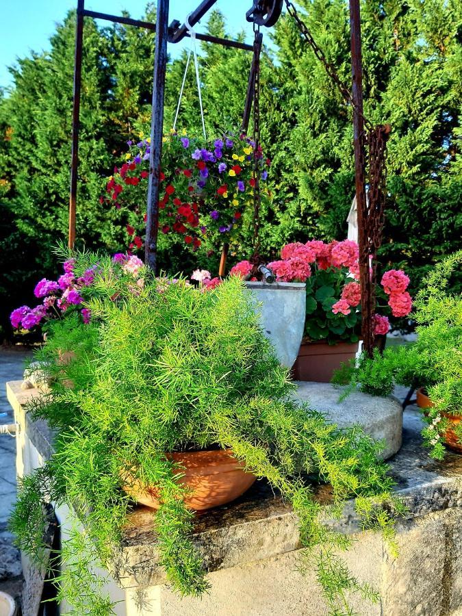 B&B La Nicchiarica Muro Leccese Exterior foto